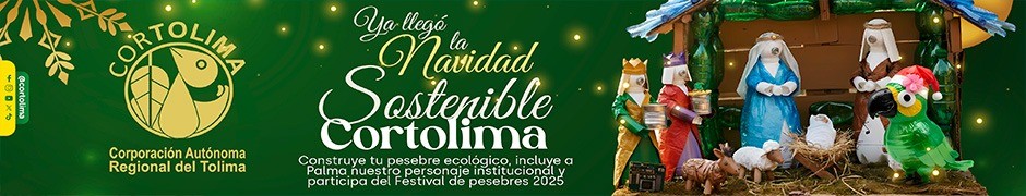 BANNER CENTRO CORTOLIMA