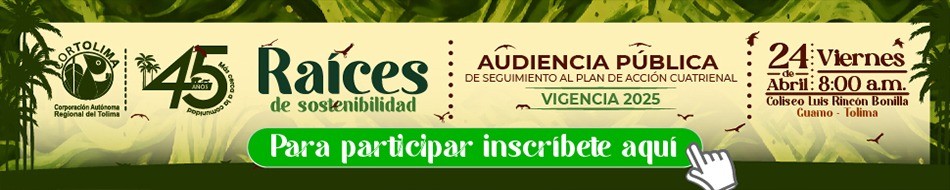 BANNER CENTRO CORTOLIMA