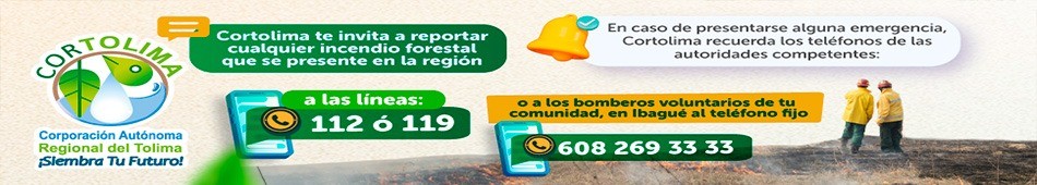 Banner centro Cortolima
