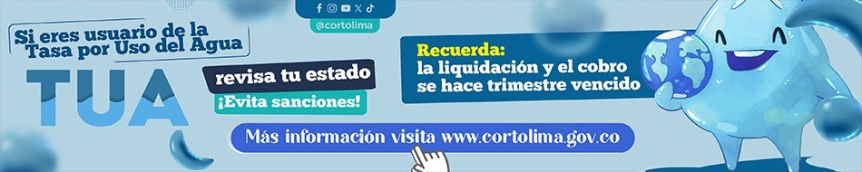BANNER CENTRO CORTOLIMA
