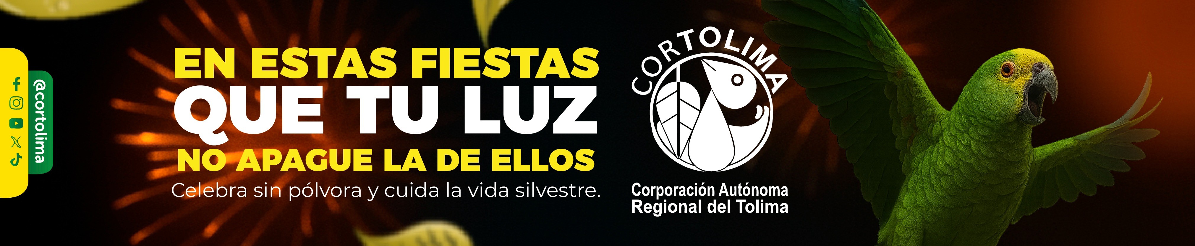 BANNER CENTRO CORTOLIMA