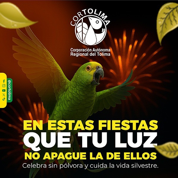 BANNER 600 CORTOLIMA