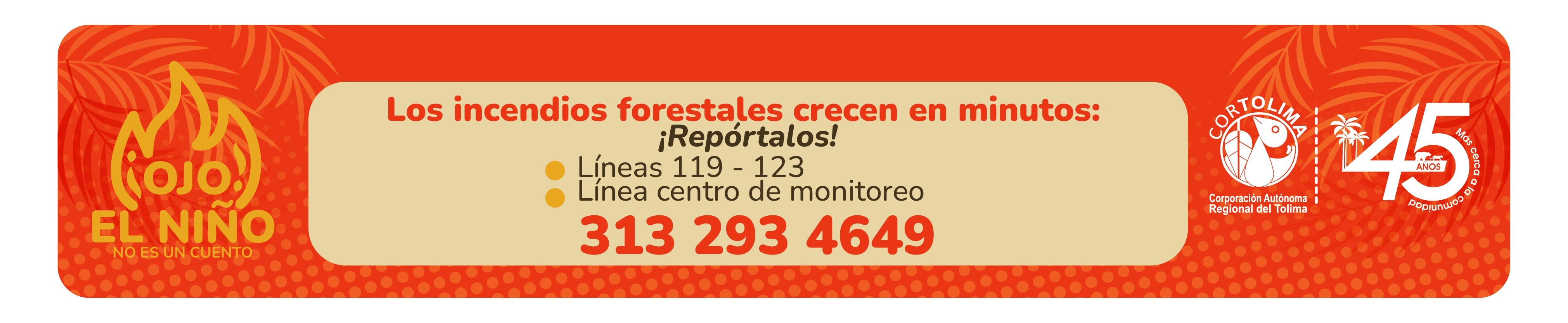 BANNER CENTRO CORTOLIMA