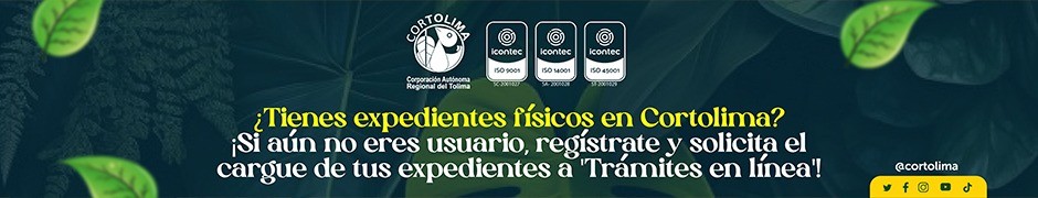 BANNER CENTRO CORTOLIMA