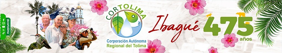 BANNER CENTRO CORTOLIMA