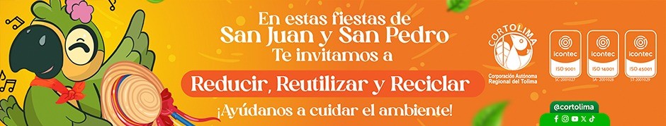BANNER CENTRO CORTOLIMA