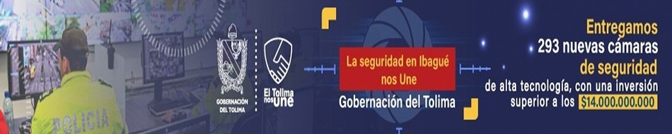banner centro gobernación del Tolima