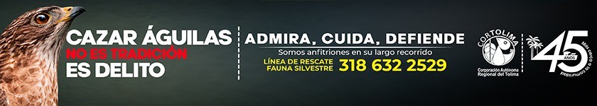 CELULAR BANNER CORTOLIMA