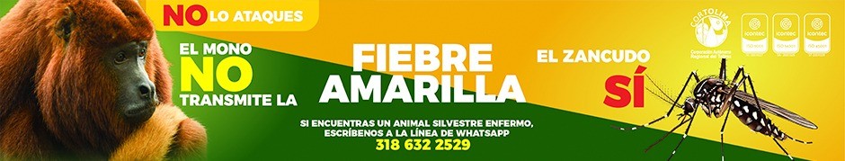BANNER CENTRO CORTOLIMA