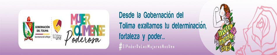 banner centro gobernación del Tolima