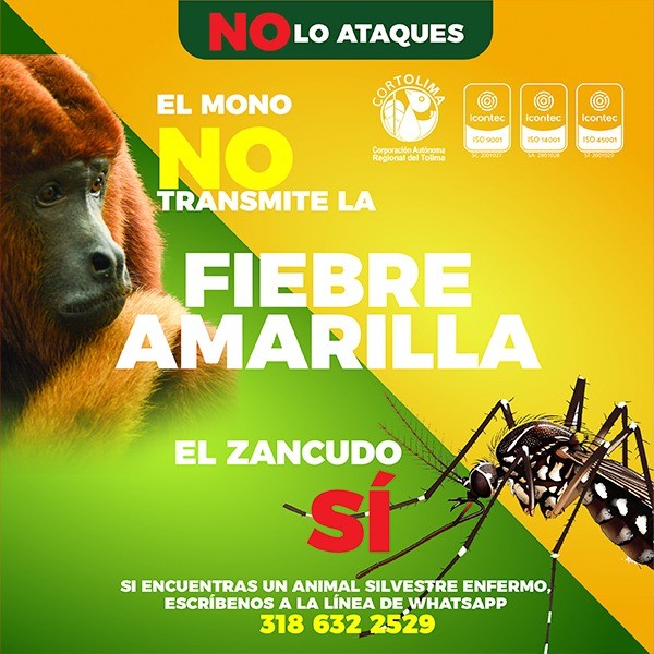 BANNER 600 CORTOLIMA