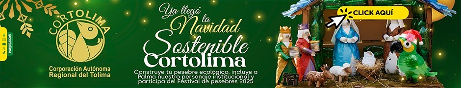 BANNER CENTRO CORTOLIMA