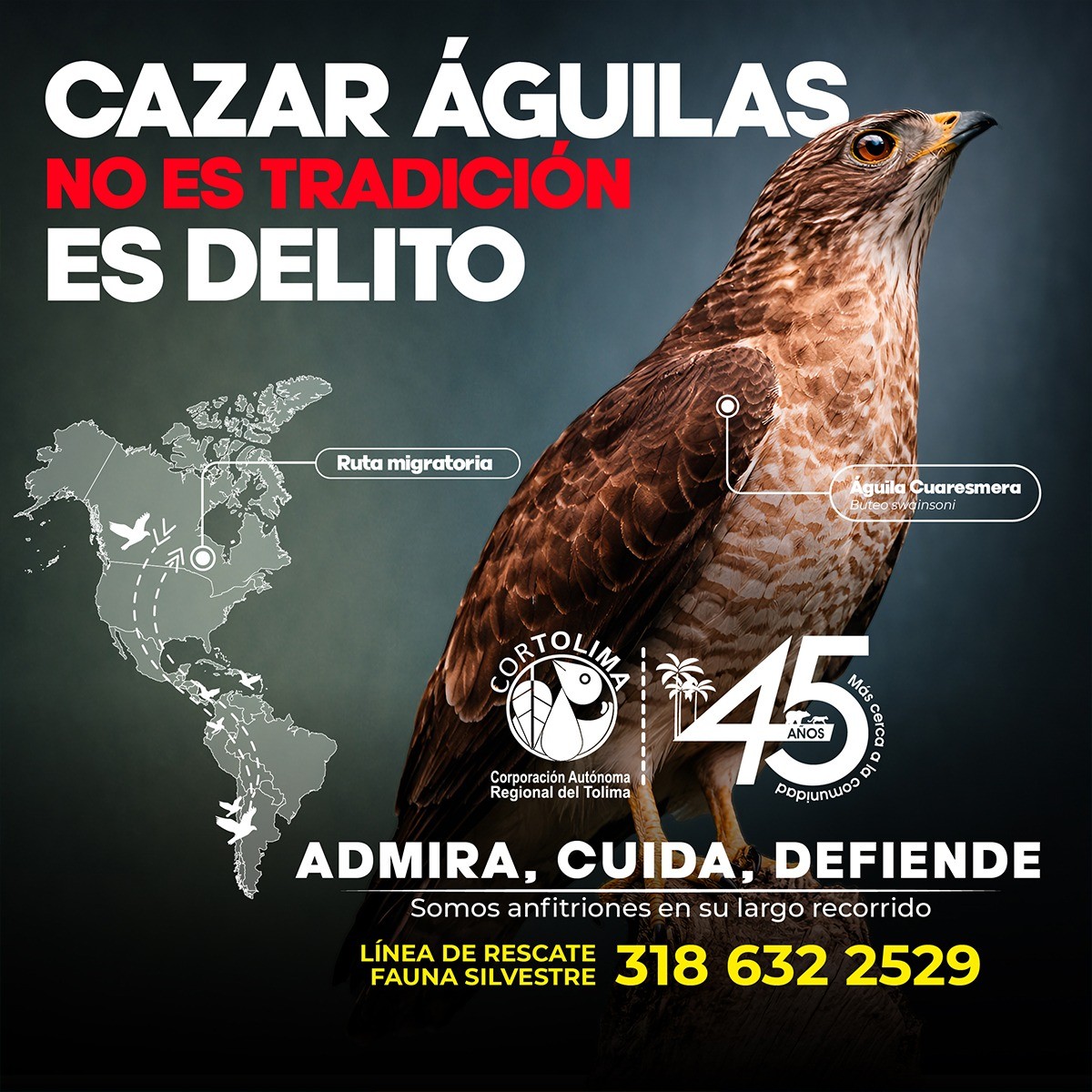 CORTOLIMA BANNER LATERAL