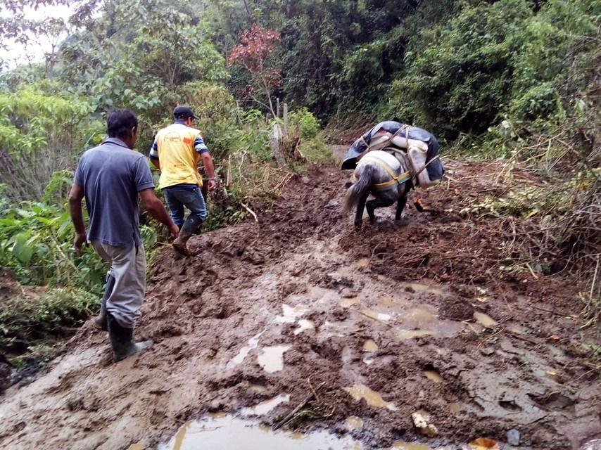 Organismos de socorro no han podido dormir, por atender emergencias