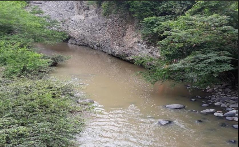 Cortolima investiga afectaciones en el rio Opia