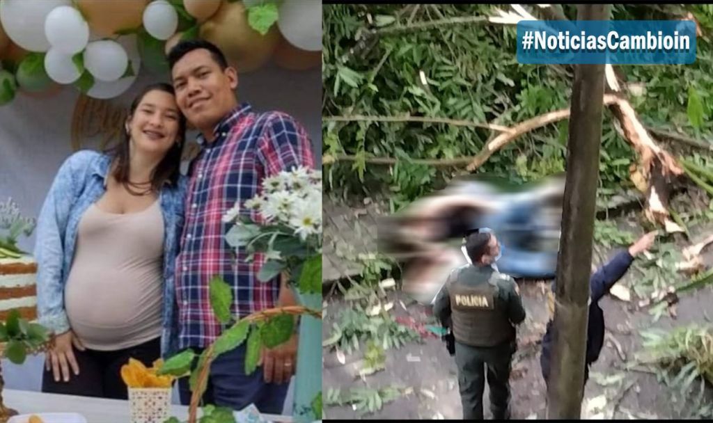 Árbol cayó encima de familia que hacía deporte en parque centenario de Ibagué