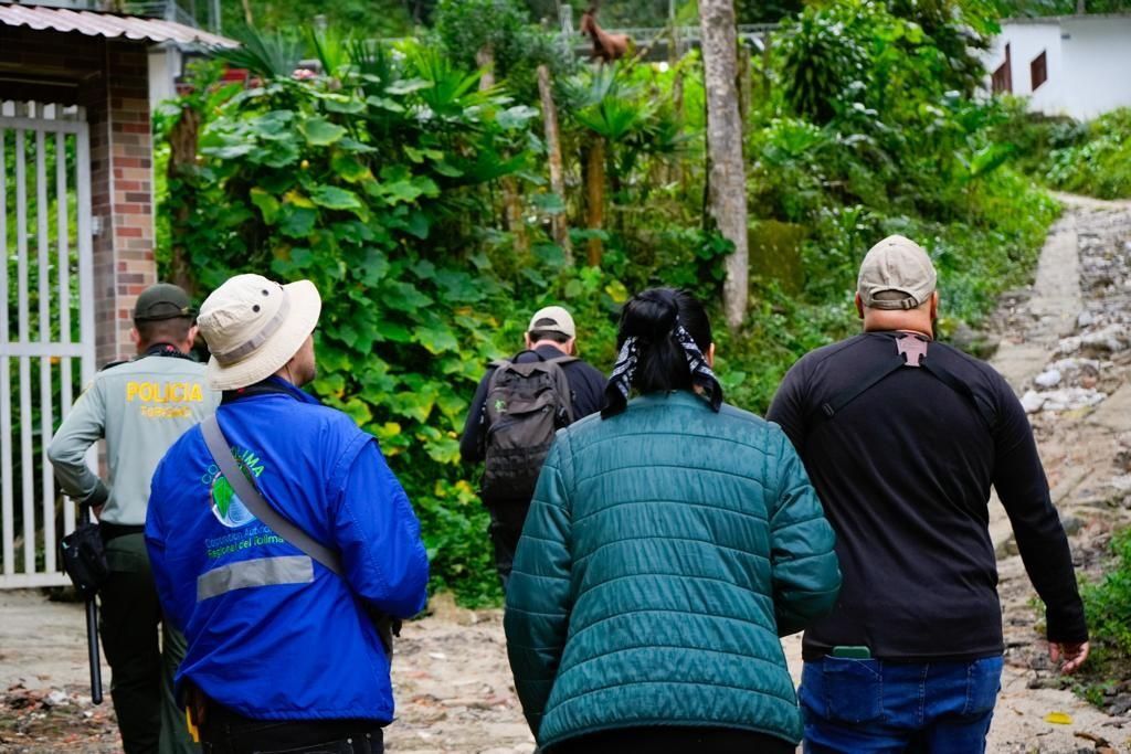 Cortolima invita a participar en el avistamiento de aves más grande del mundo