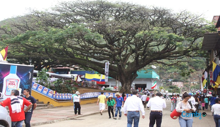 El secreto del samán, árbol donde colgaron Liberales en el Tolima
