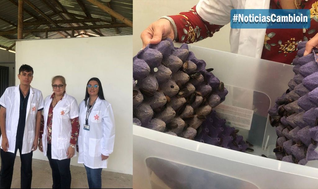 El Tolima innova en alimento para animales, basado en proteína de insectos