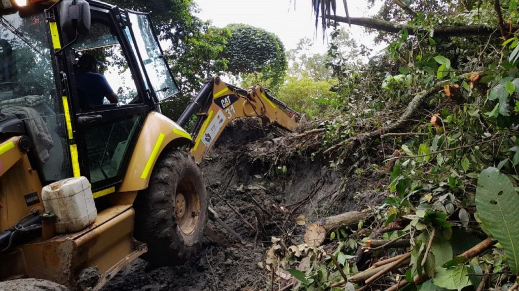 Ni a lomo de mula, se puede transitar en vías rurales de Ibagué