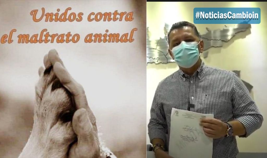 Gobernación del Tolima, lidera campaña contra el maltrato animal