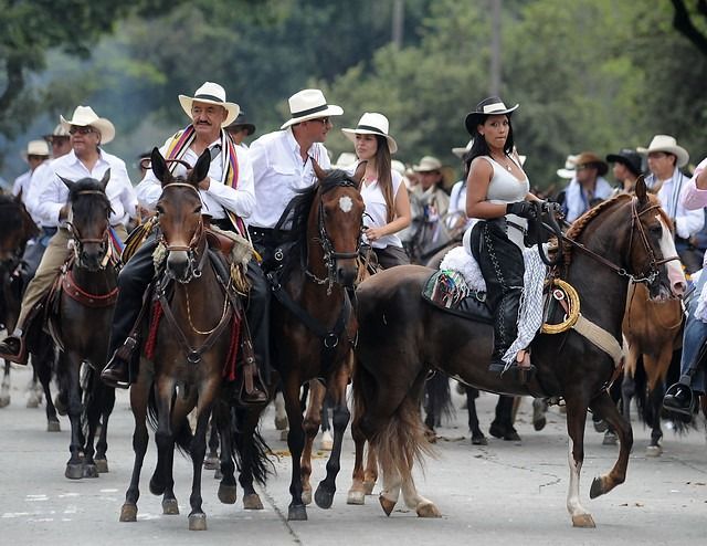 Punto final a cabalgatas en Ibagué, por desórdenes presentados