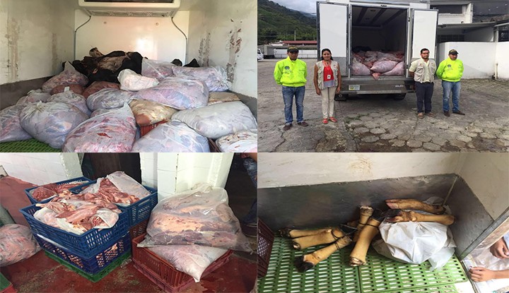 Carne de caballo pretendía ser negociada en Ibagué