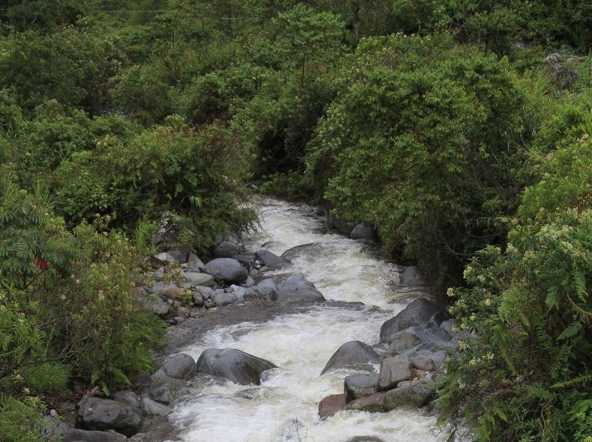 Conozca y comente el Plan ajustado de Ordenación y Manejo de la Cuenca Hidrográfica del río Amoyá