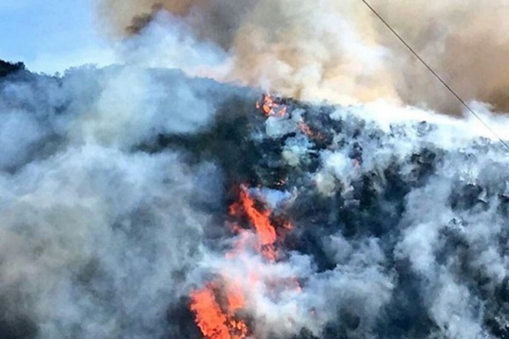 Altas temperaturas, incendian varias partes del Tolima