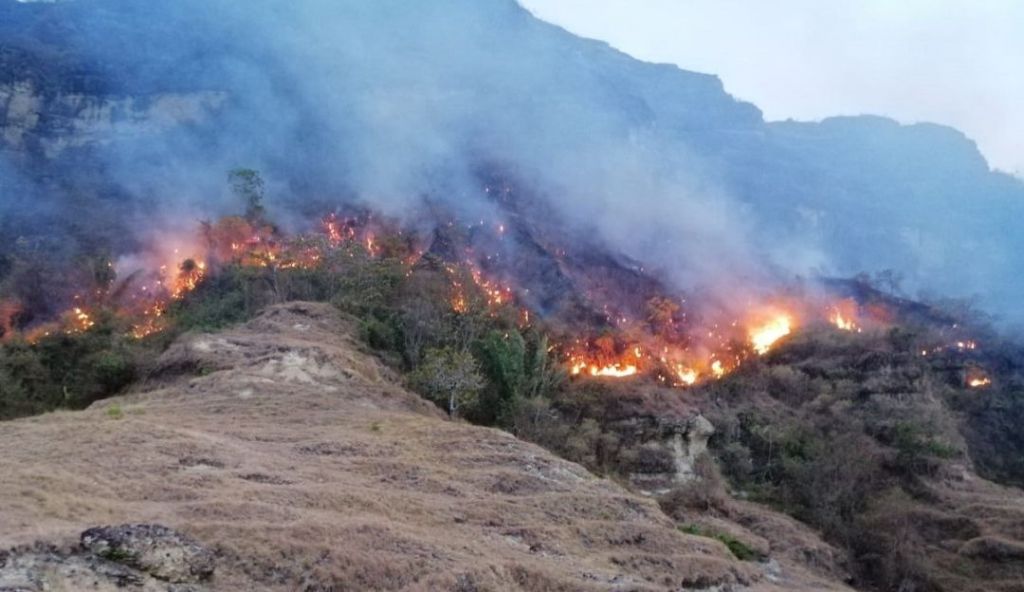 Ola de calor tiene incendiado el Tolima