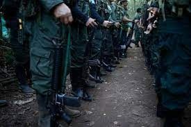 Farc se reagrupa reclutando niños para sus filas, en el sur del Tolima