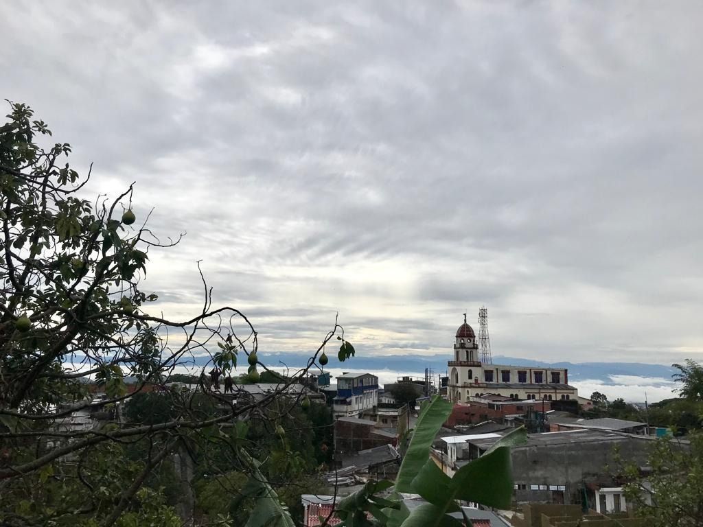 Cortolima formula pliego de cargos contra municipio de Falan.