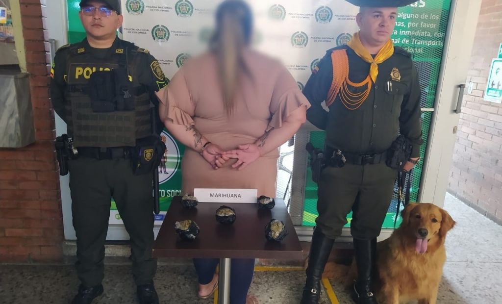 Policía canina, efectiva en la lucha contra las drogas