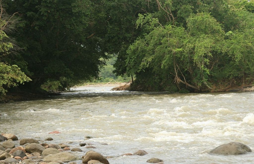 Entérese cómo puede ser parte del Consejo de Cuenca del Río Gualí