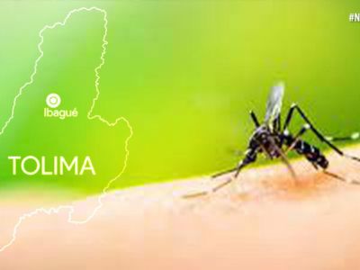Disparados casos de Dengue en el Tolima. Autoridades preocupados por el tema