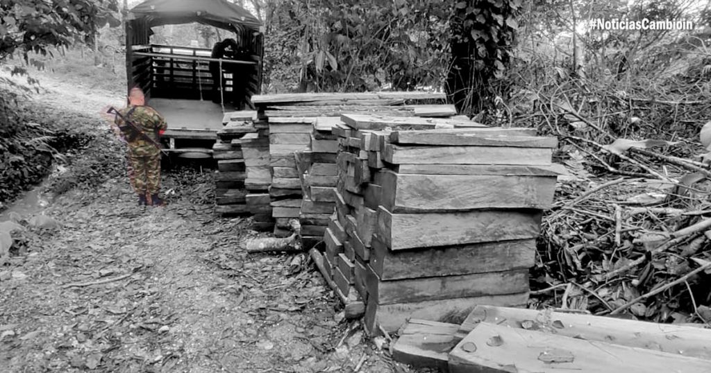 Recuperan madera que había sido talada ilegalmente, en el sur del Tolima