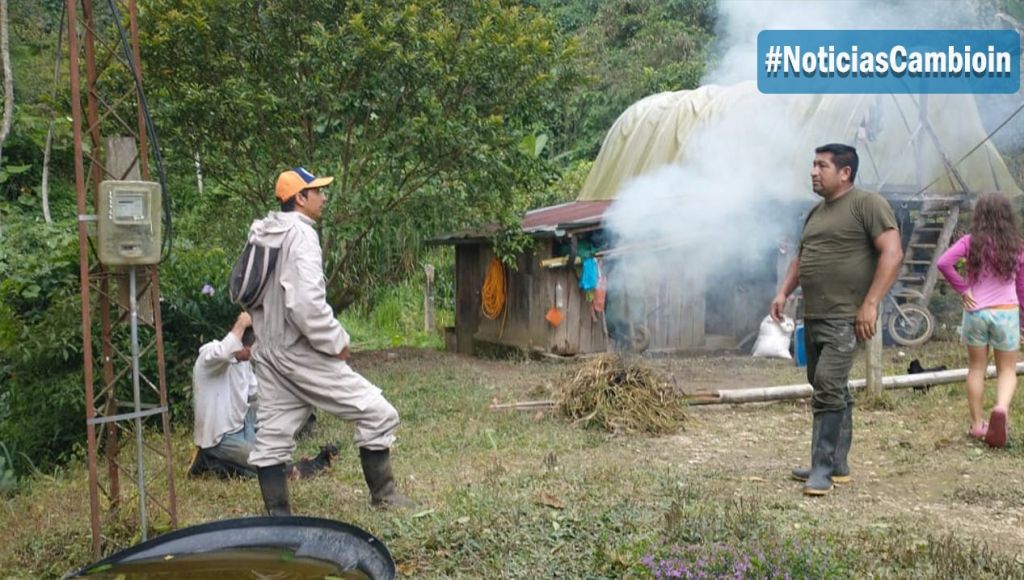 Menor en delicado estado de salud, por ataque de Abejas.