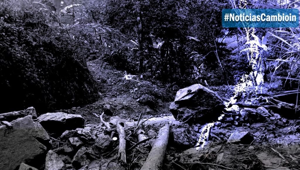 Rayo mató hombre padre de familia en Rovira Tolima