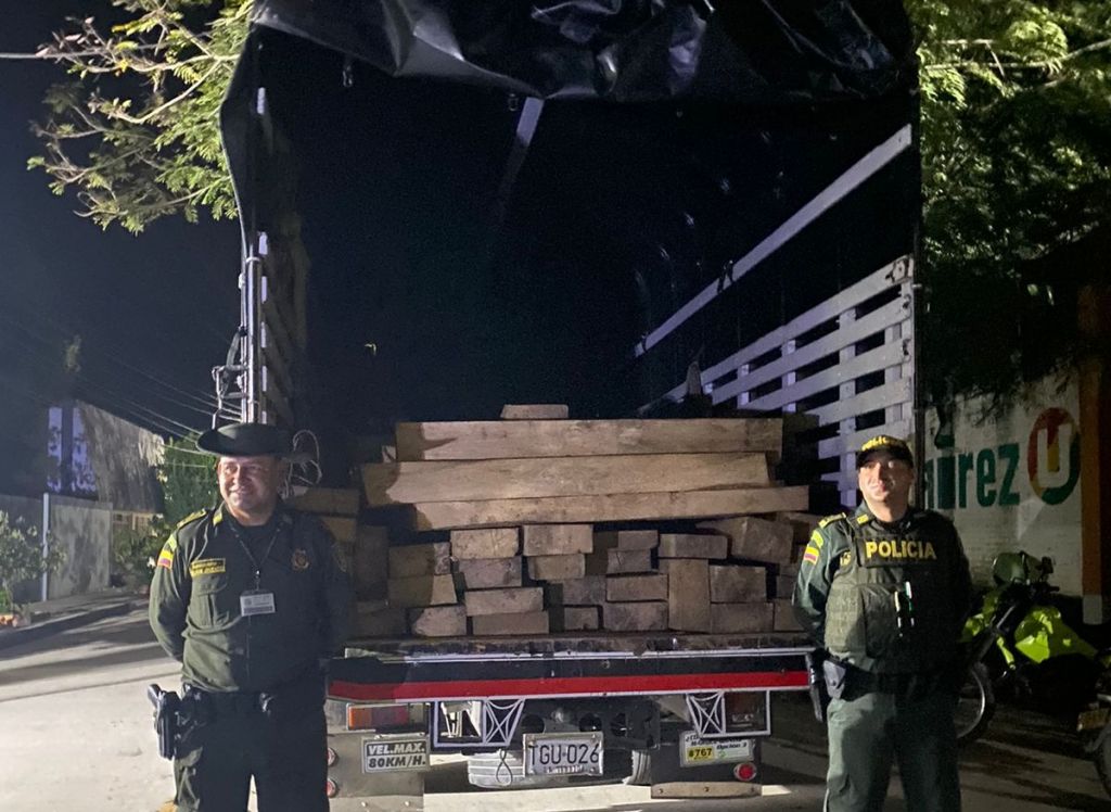 Nueva incautación de madera ilegal, esta vez en el municipio de Alvarado