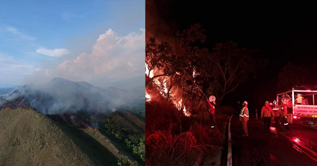 Incendio forestal acabó con varias hectáreas de cultivos en el Tolima