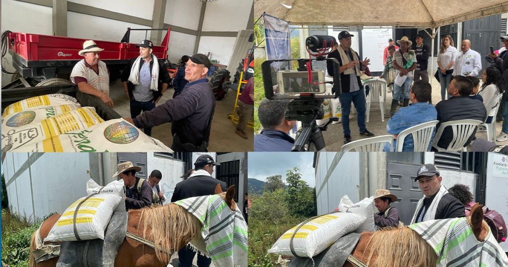 Buscan vender rápido el ganado de zonas cercanas al volcán del Ruiz