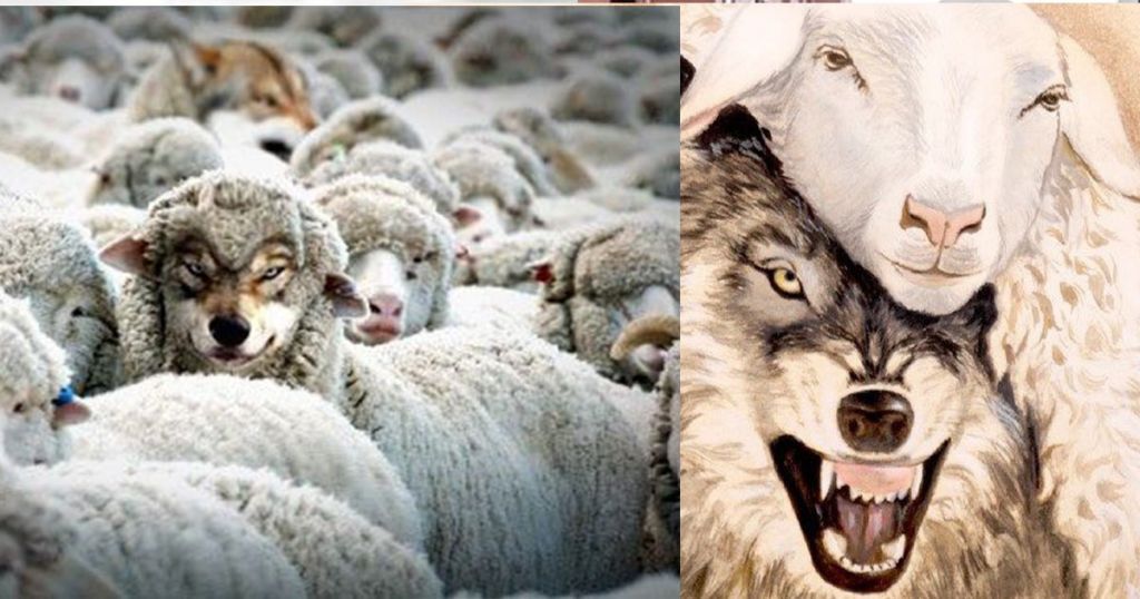 Por estos días los lobos se visten de ovejas, para parecer buenos politicos