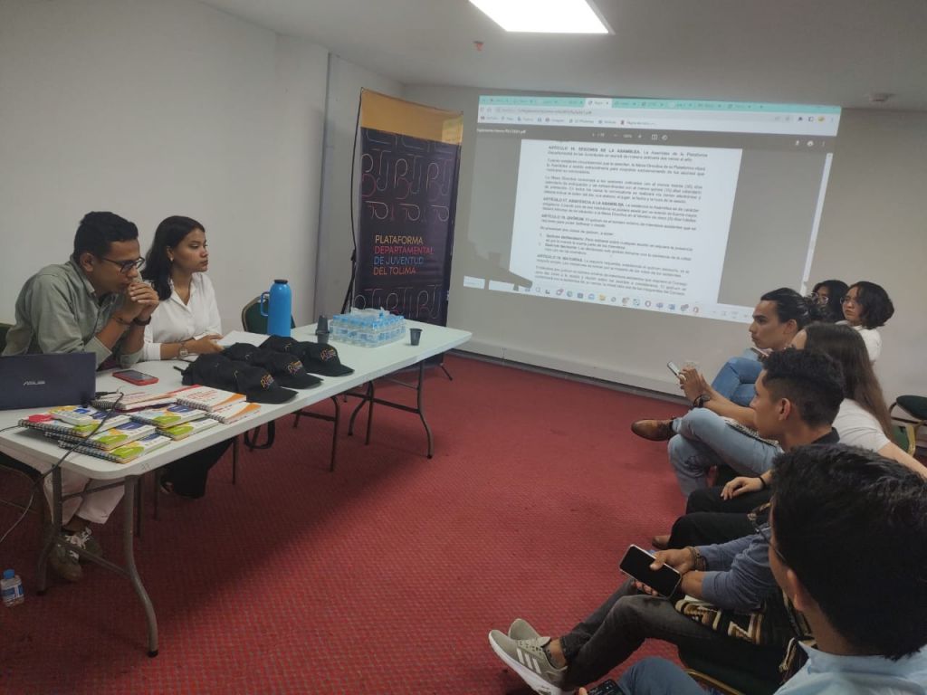 Se conformó mesa directiva 2023 para la Plataforma Departamental de Juventudes del Tolima