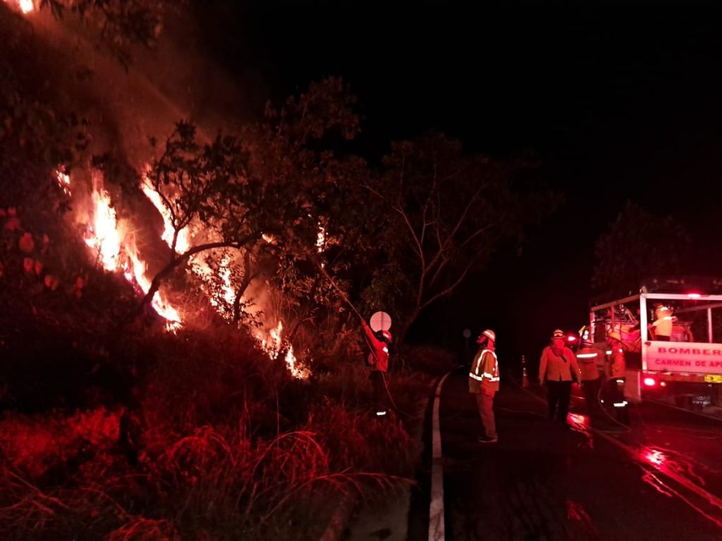 Ola de calor podría disparar incendios forestales en el Tolima