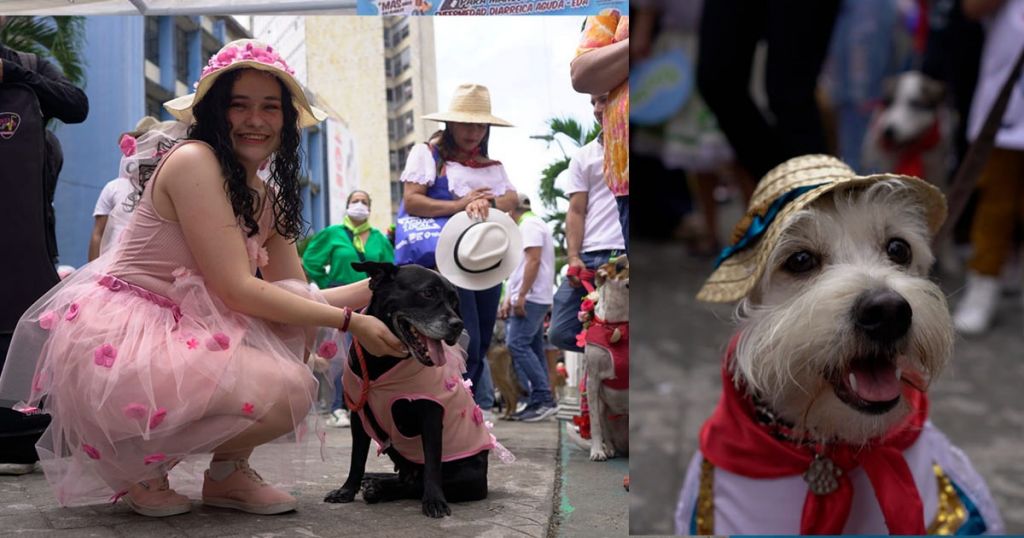 Alisten los 'peluditos' para el segundo Desfile Sampedrino de Mascotas
