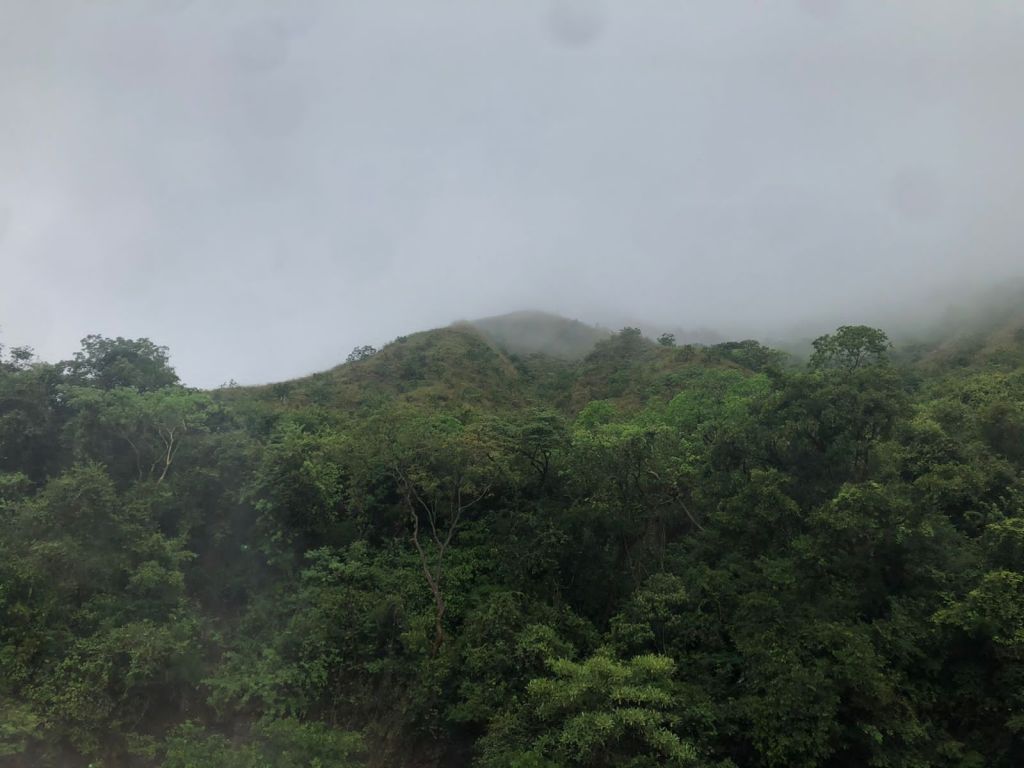 Se firmó acuerdo voluntario por el cuidado del Bosque Seco Tropical en Natagaima