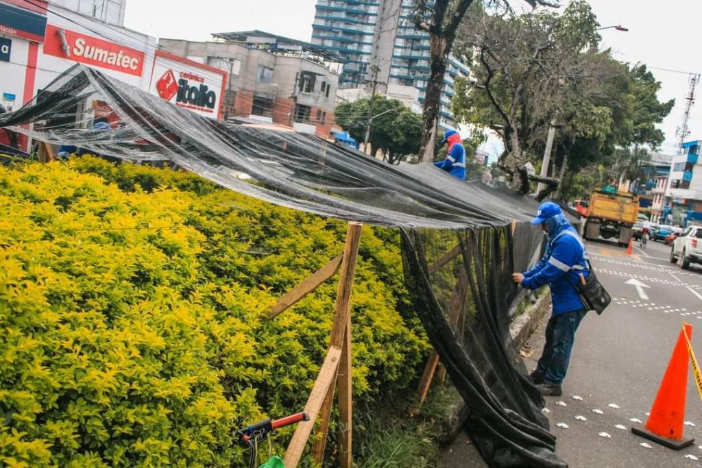 Daños millonarios en el ornato de Ibagué, después de las fiestas