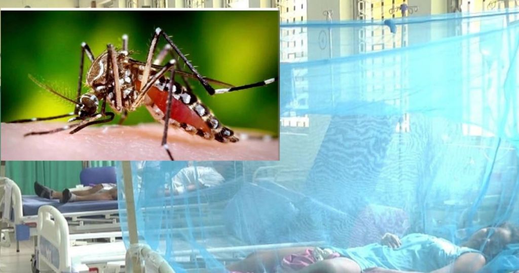 El Dengue invadió al Tolima, ya son 5 mil los casos en el 2023