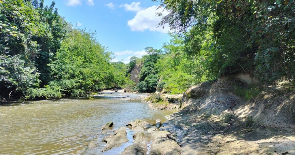 Cortolima continúa con la reglamentación del río Venadillo