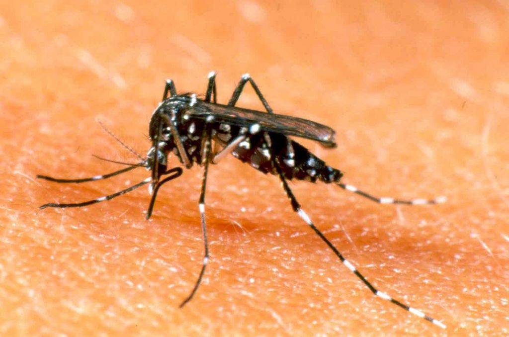 Tolima, segundo departamento con más casos de dengue en Colombia